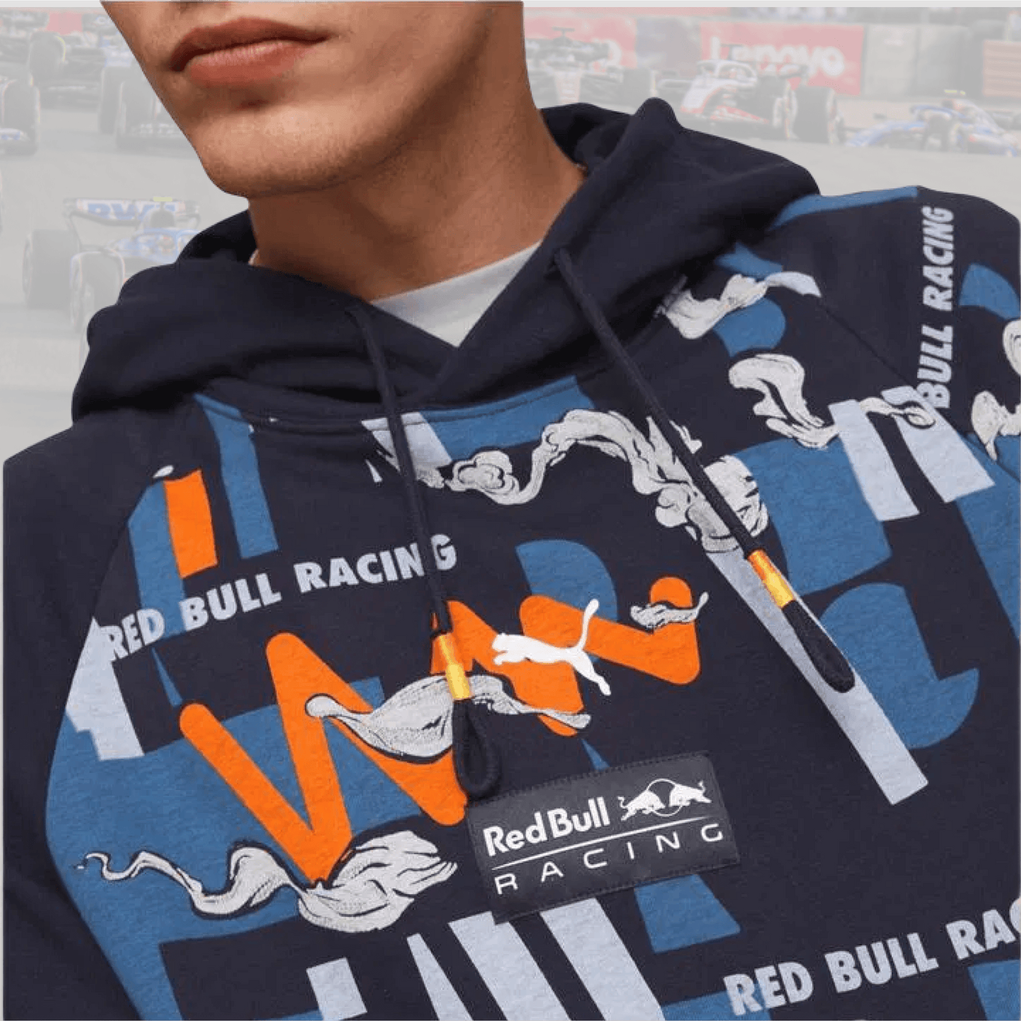 Red Bull Aop Motorsport Hoodie